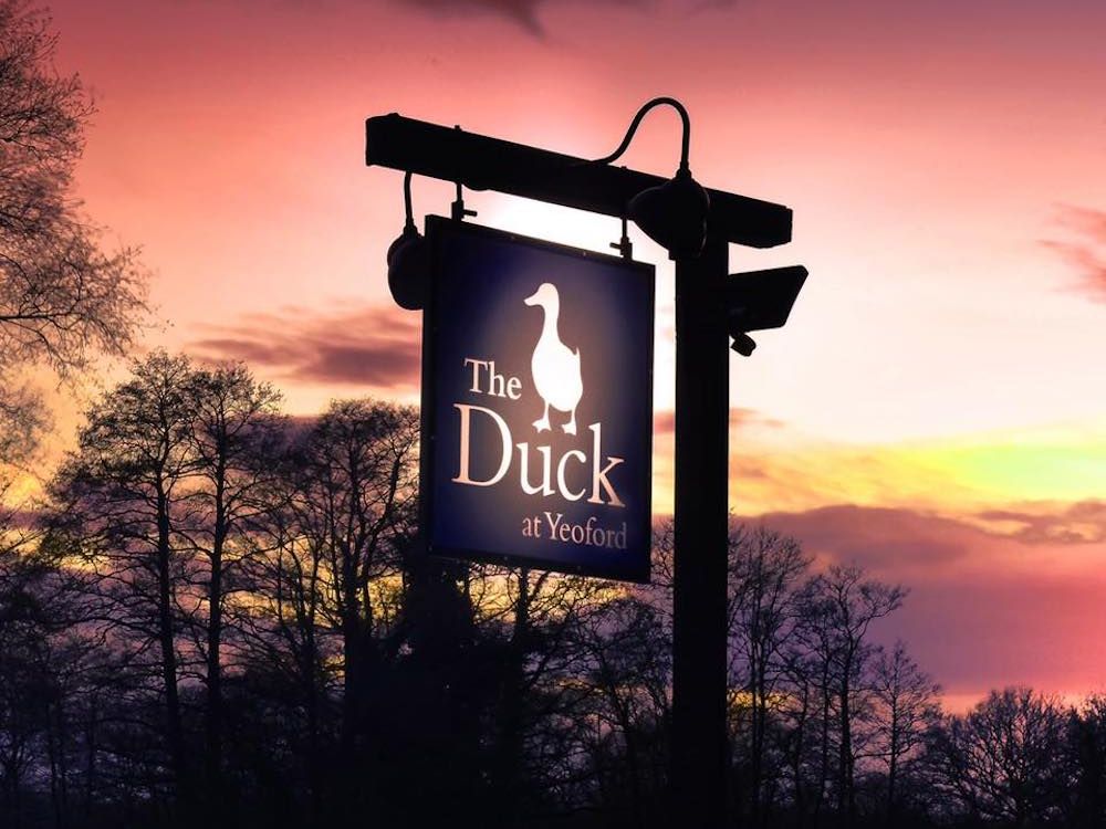 The Duck at Yeoford