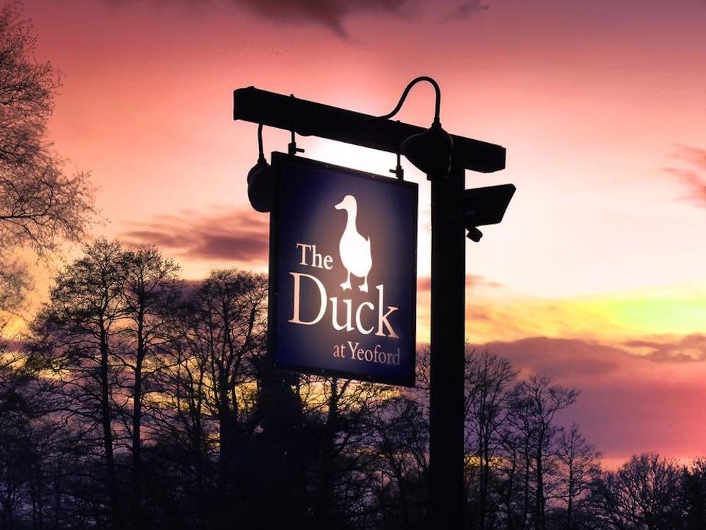 The Duck at Yeoford