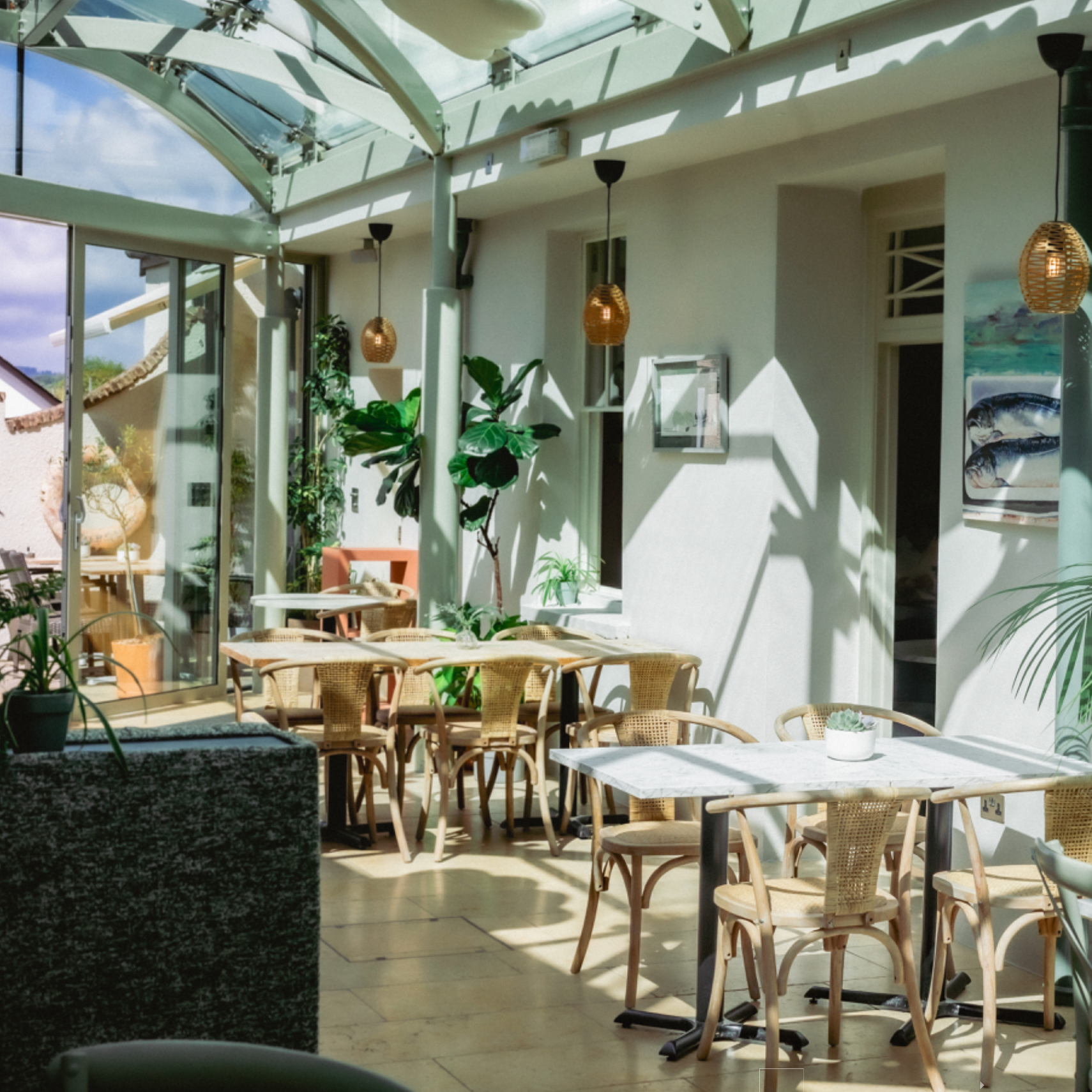 Salutation Inn glasshouse