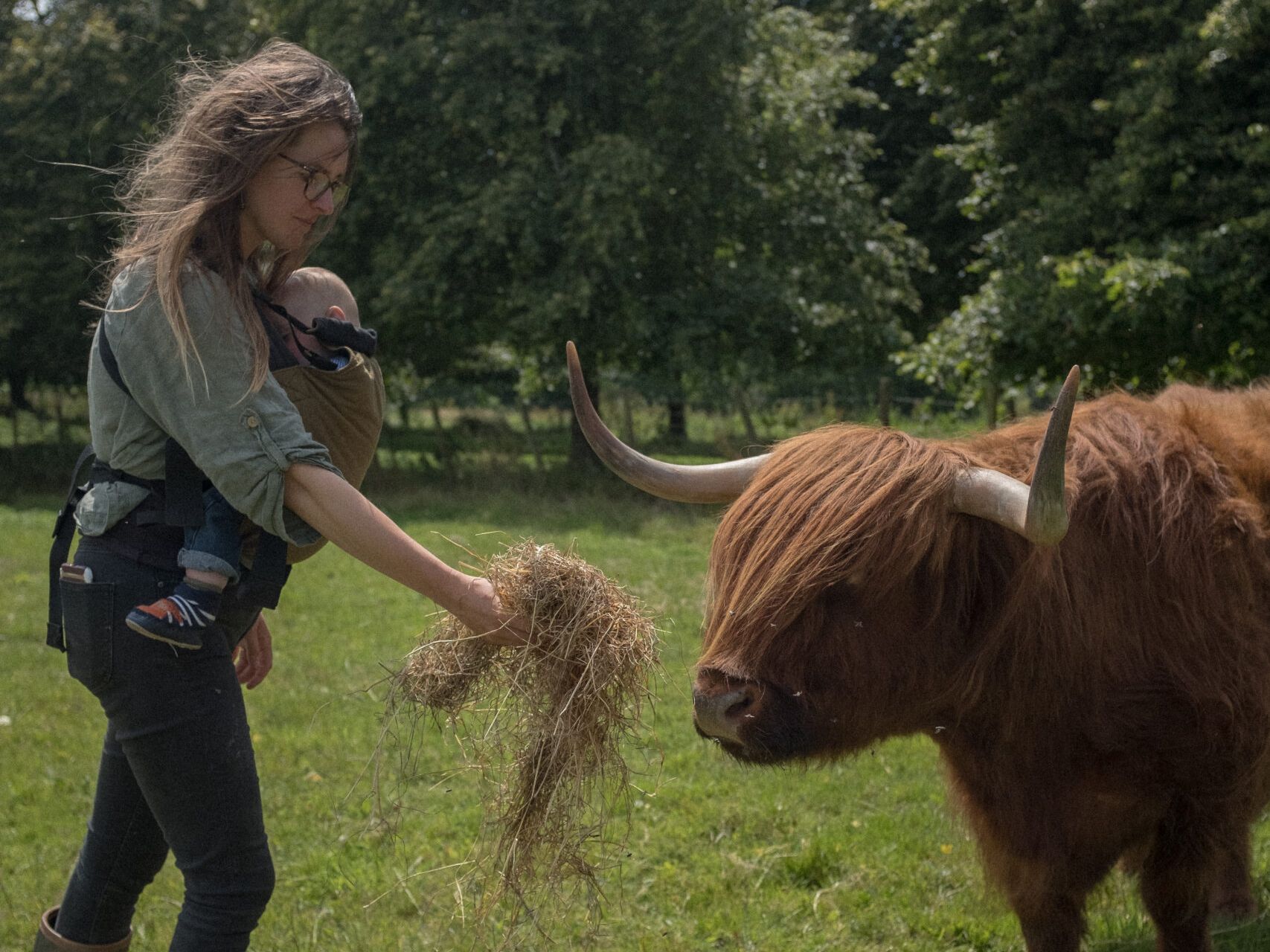 Springwater Farm Amelia and cow
