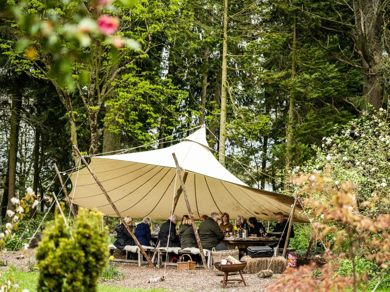 Woodland feast at High Grange