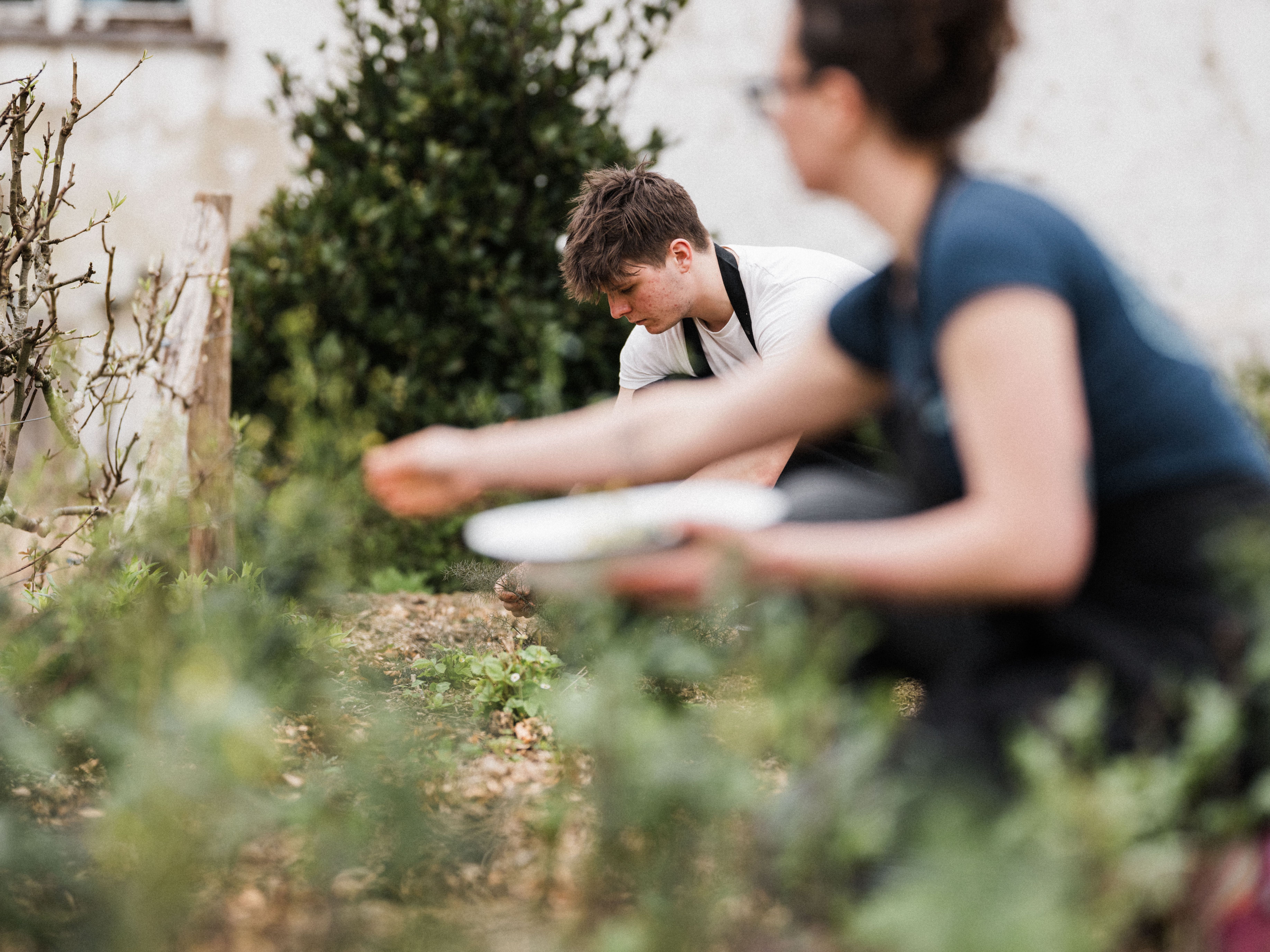 River Cottage Garden