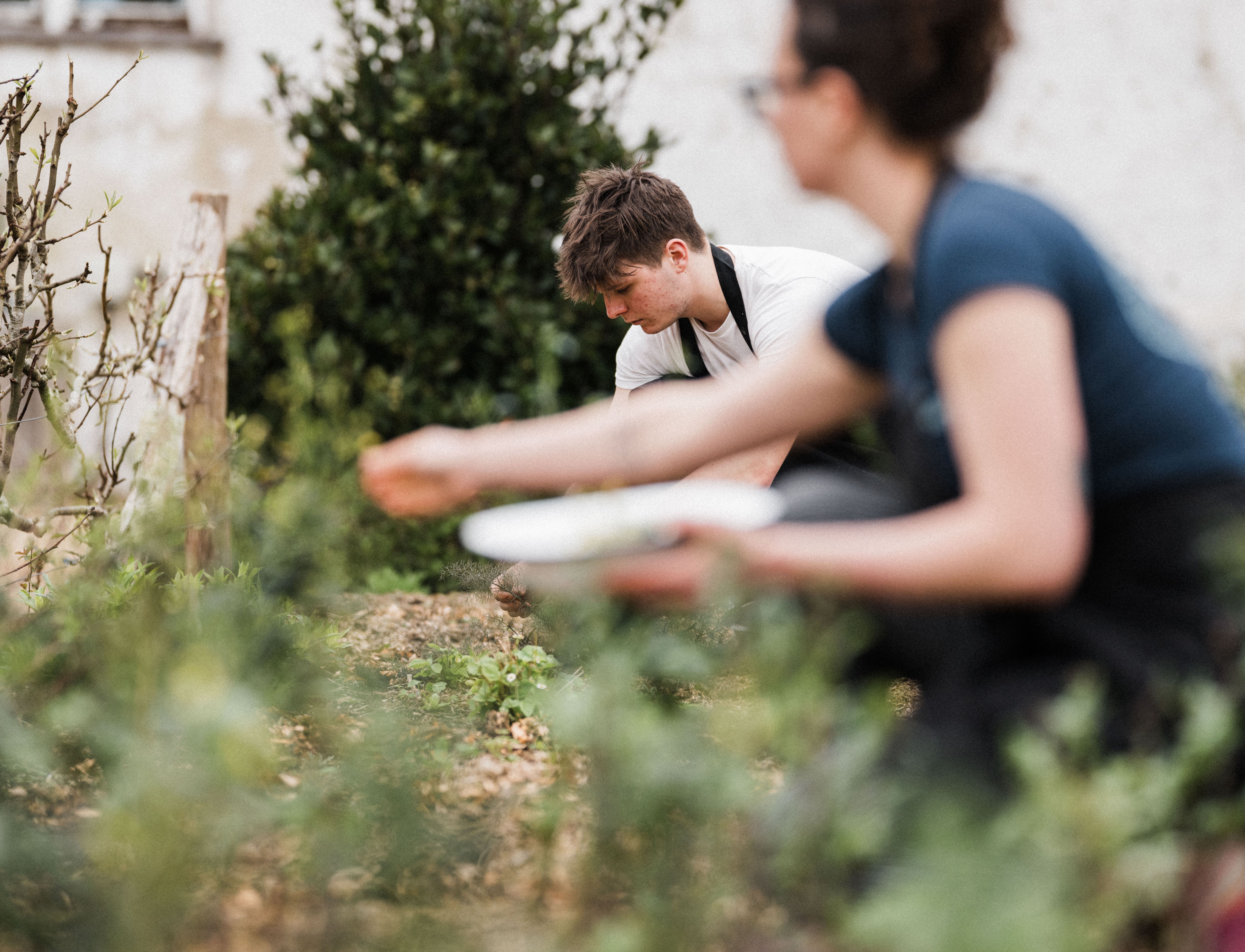 River Cottage Garden