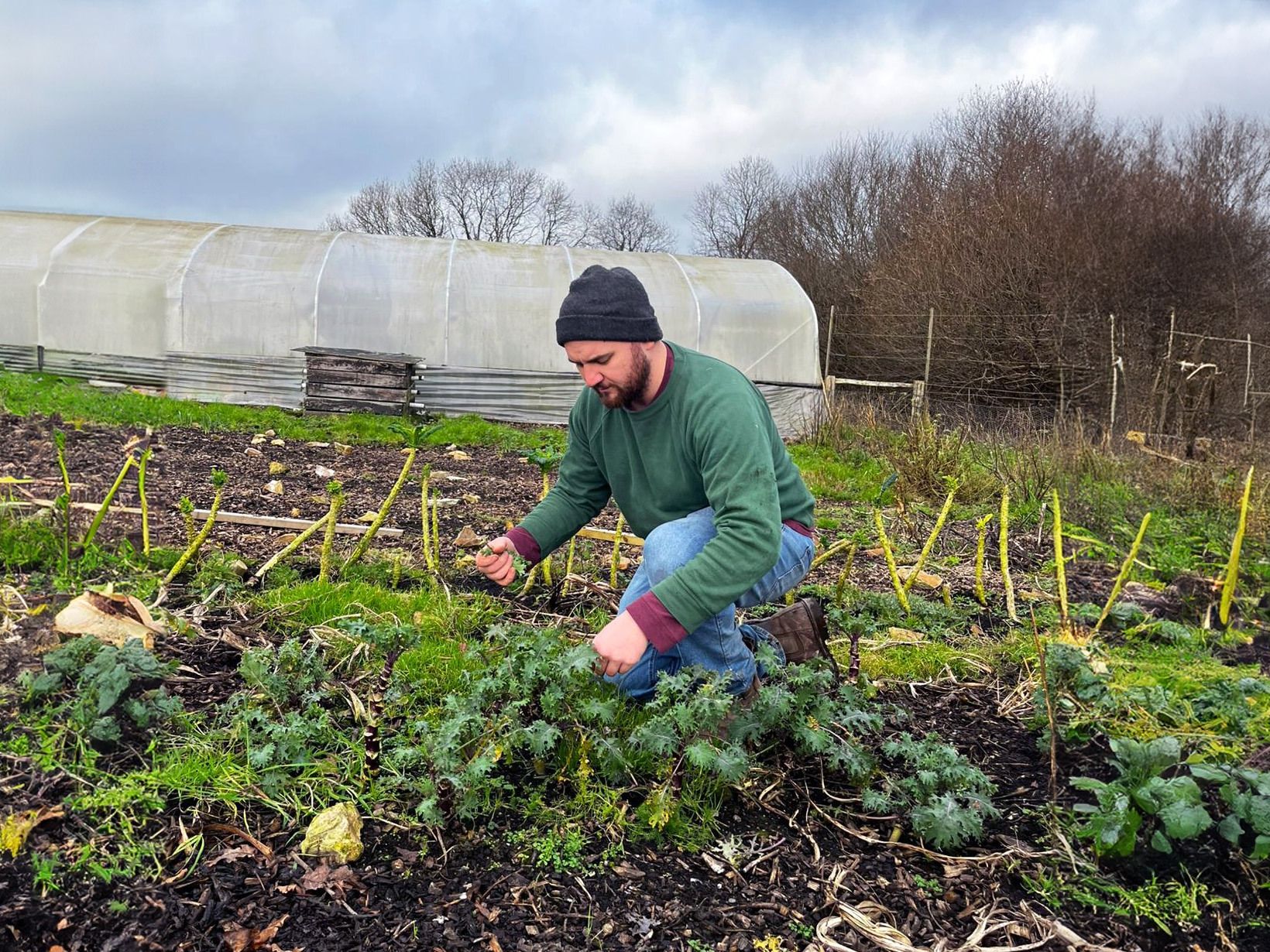 River Cottage Connor Gardening
