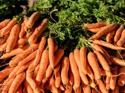 Carrots at Farmers market