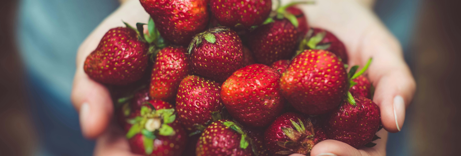 Handful of fresh strawberries