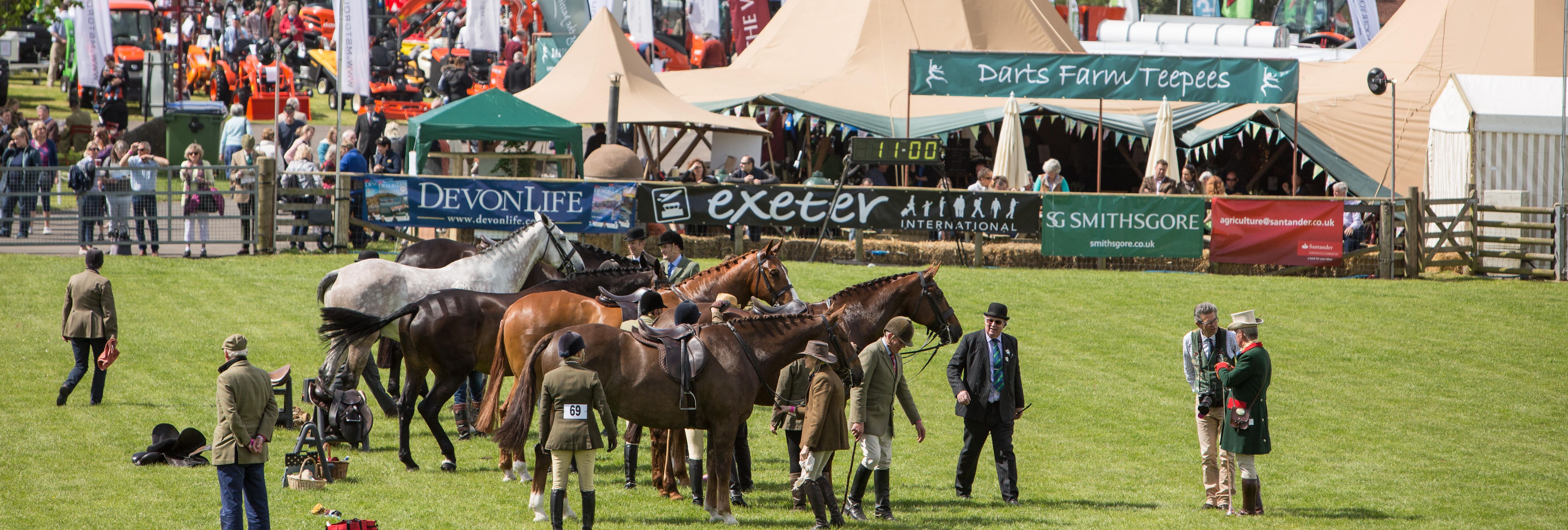 Devon county show from alamy