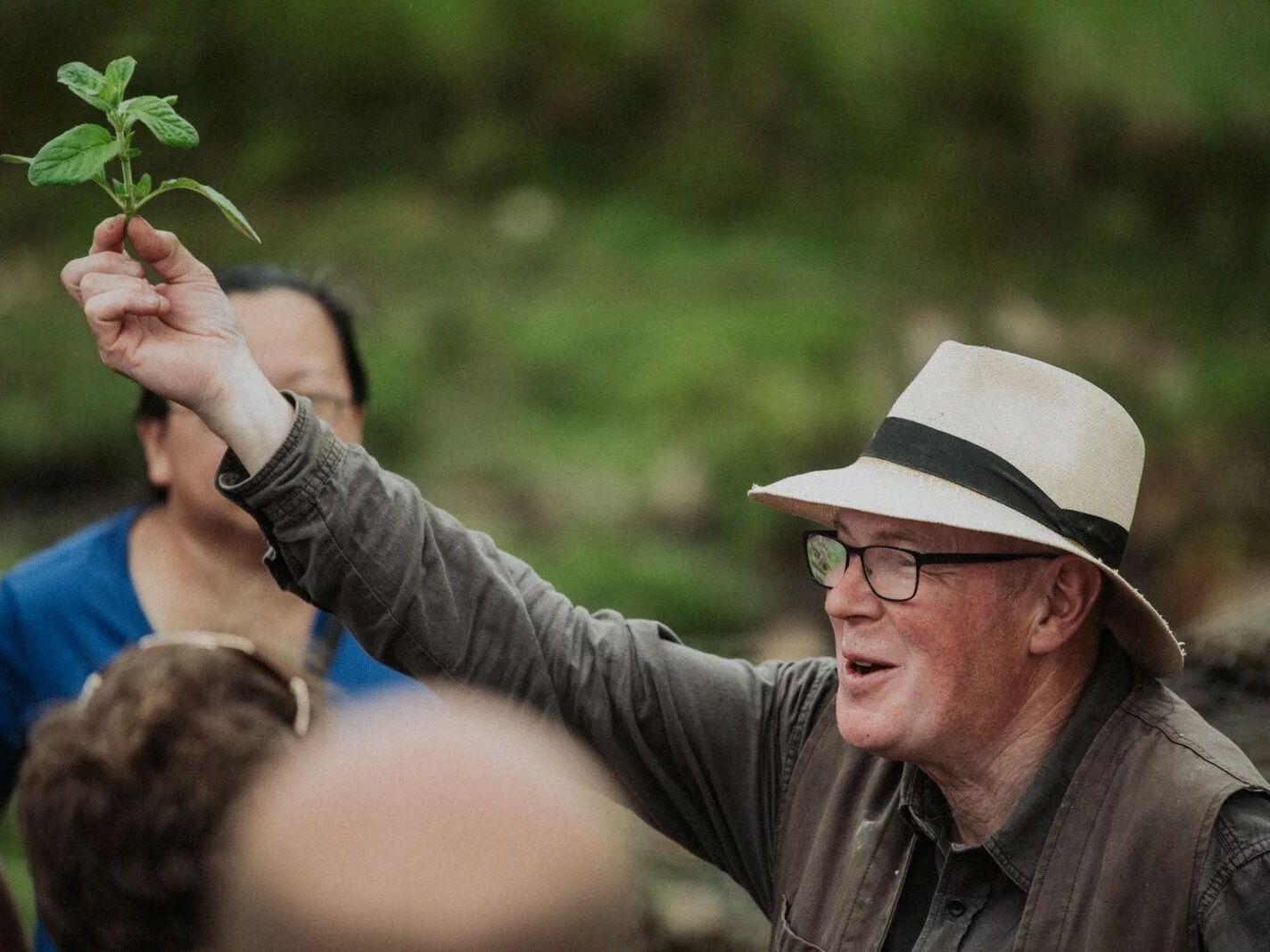 foraging-john-wright-river cottage