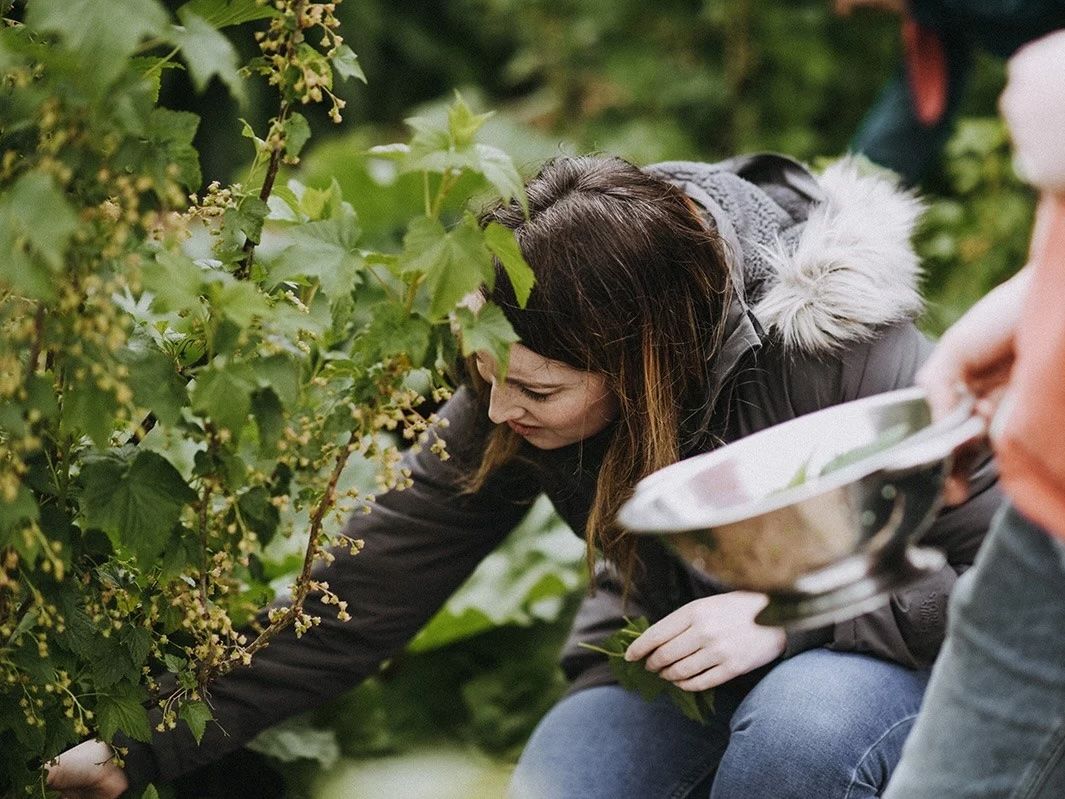 River cottage foraging.jpg