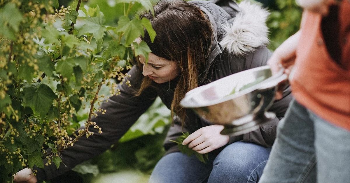 River cottage foraging.jpg