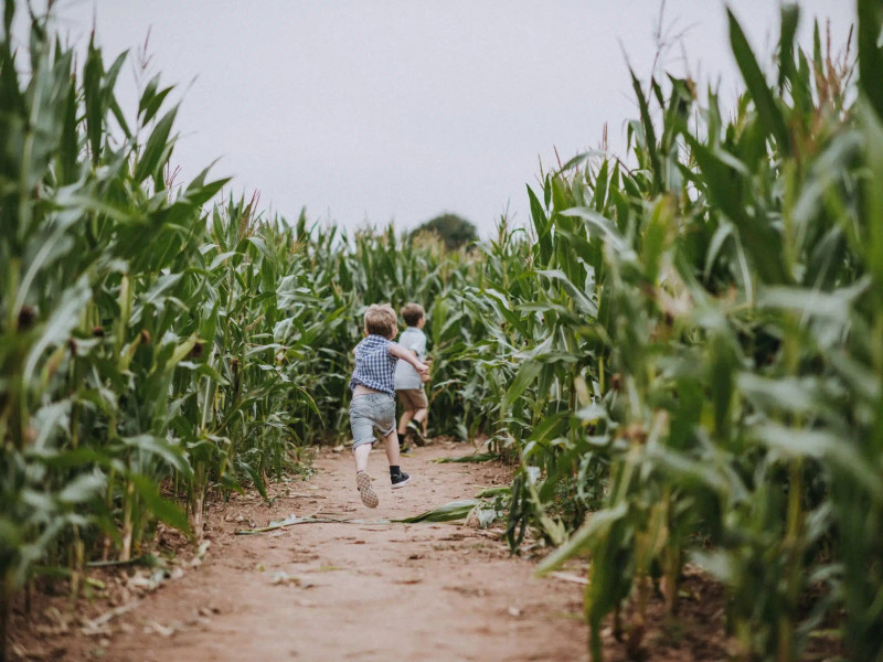 1Darts180803Matt-Austin-scaled