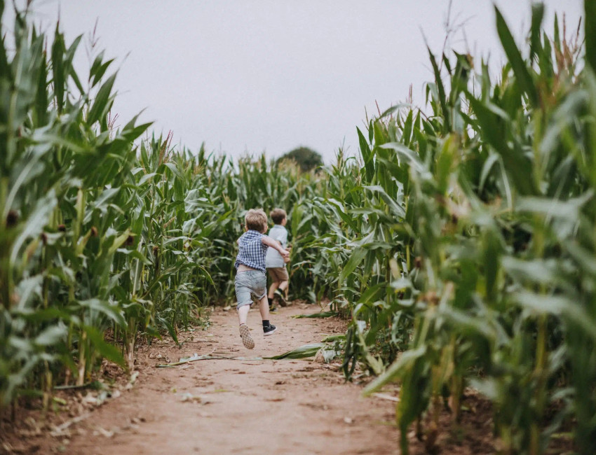 1Darts180803Matt-Austin-scaled