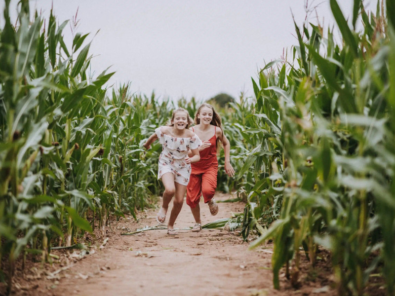 14Darts180803Matt-Austin-scaled