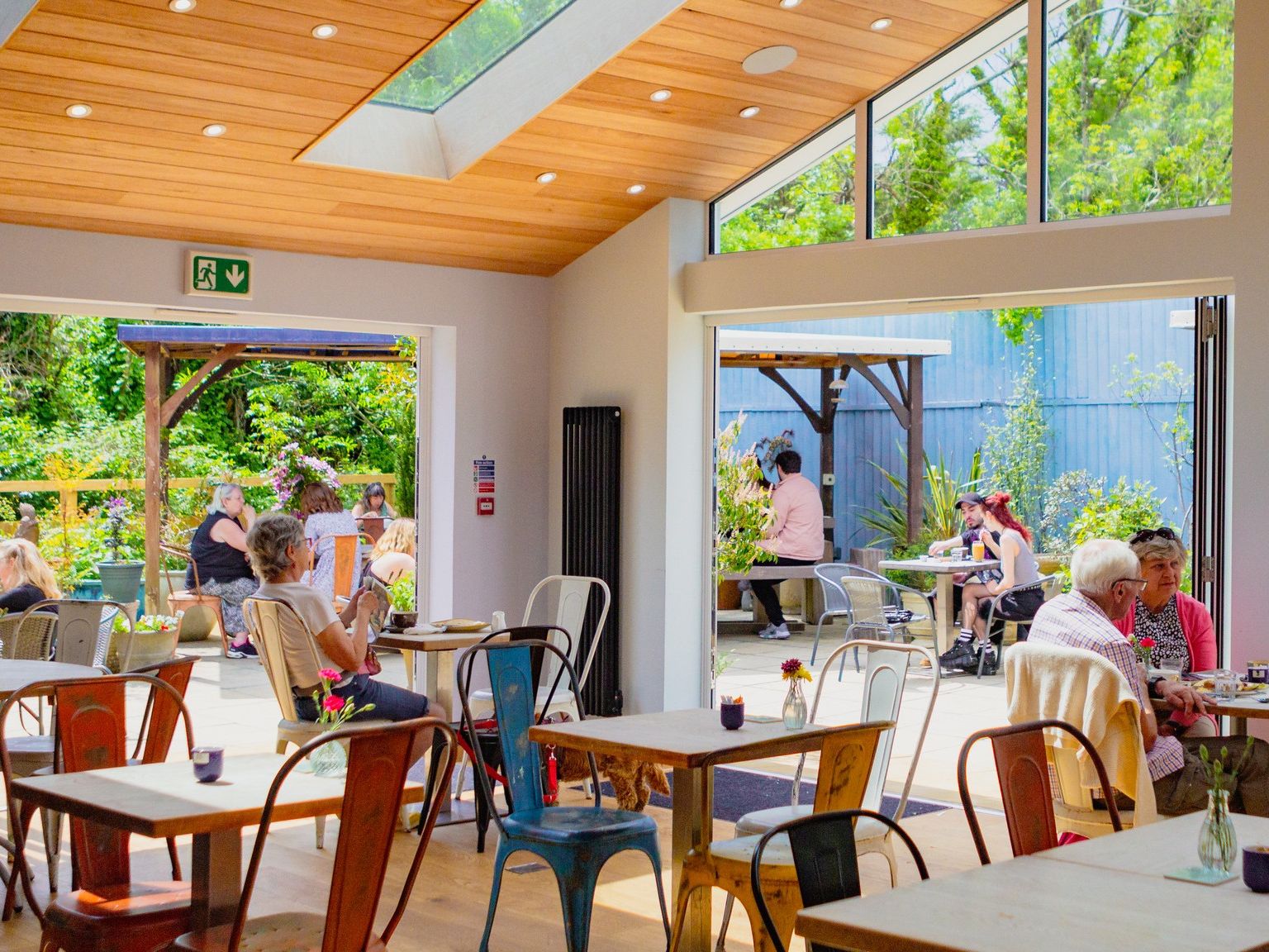 Wild Thyme Totnes garden