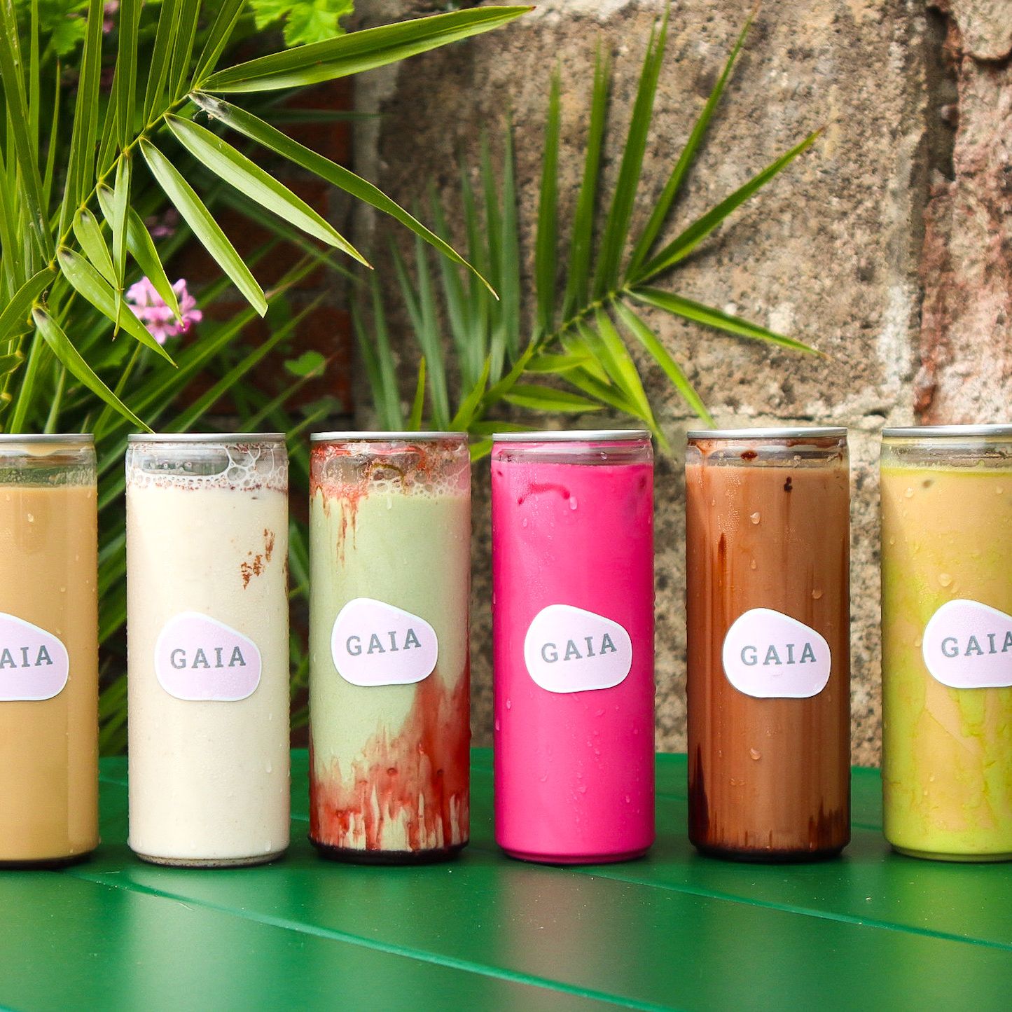 Gaia coffee cans