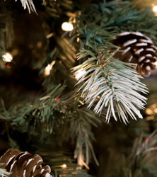 Glittering lights on a rustic Christmas tree.
