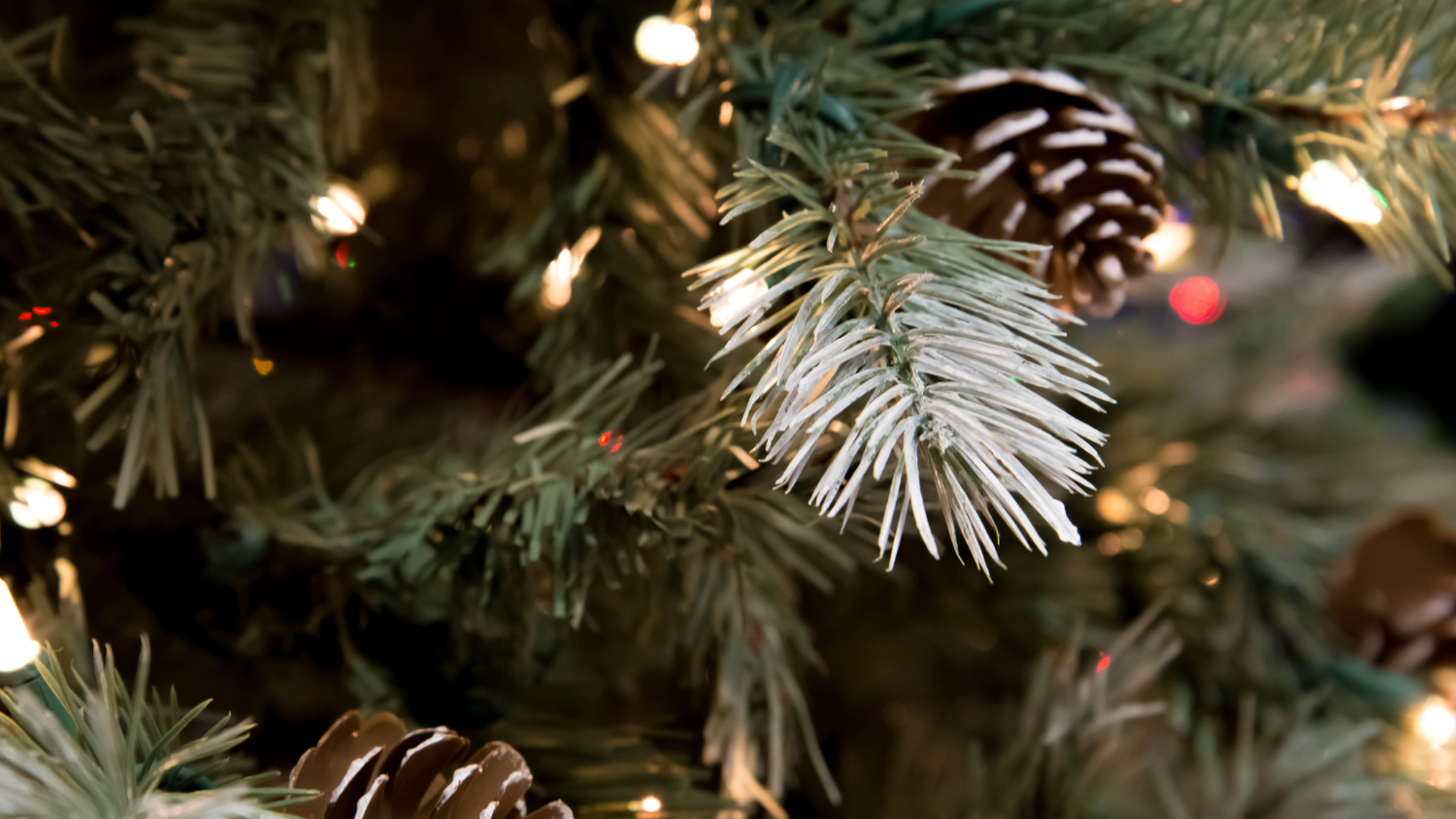 Glittering lights on a rustic Christmas tree.