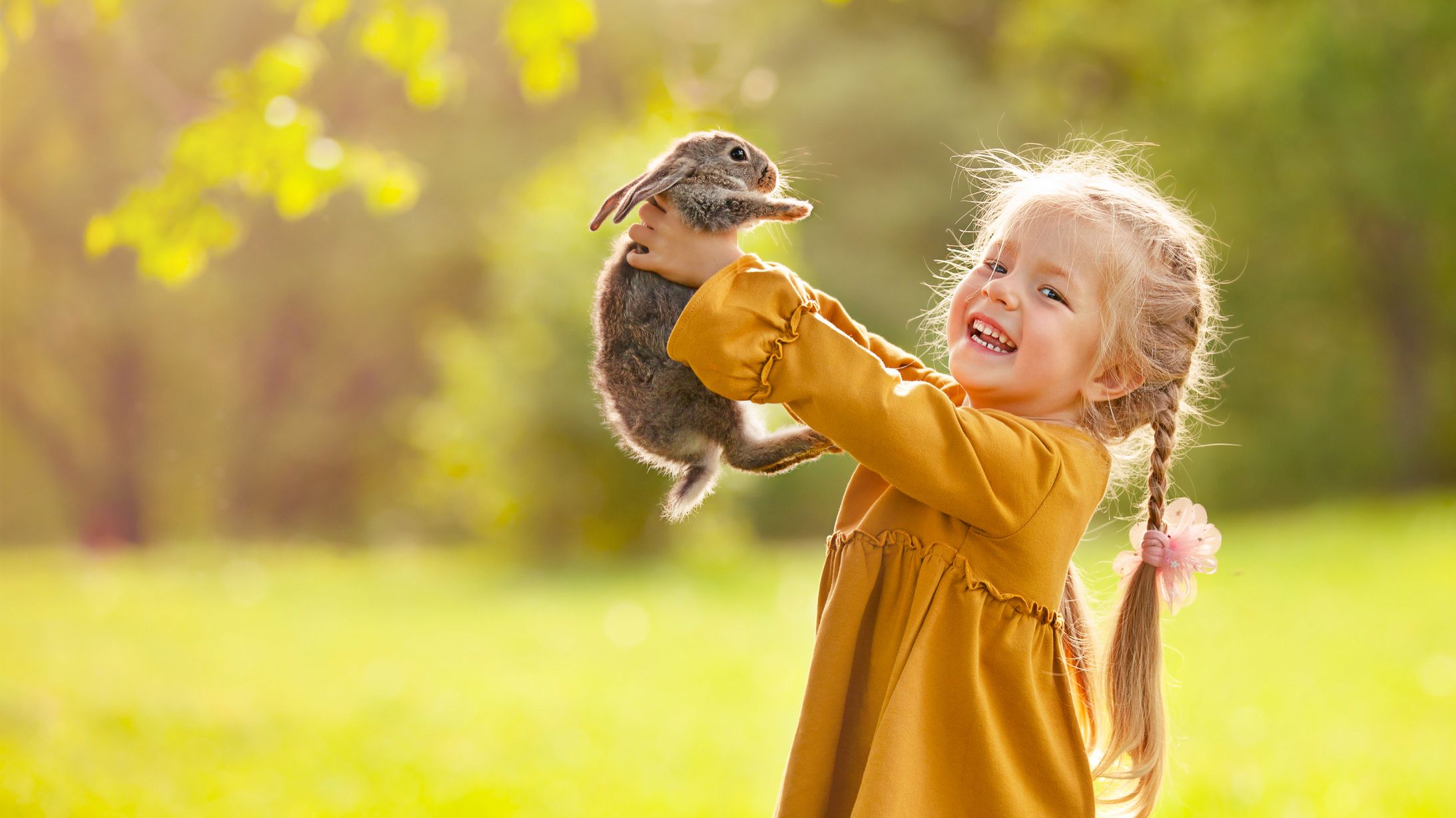 Smiling young girl with blonde hair in a braid, wearing a yellow dress, holding up a gray rabbit outdoors in a sunlit green park.