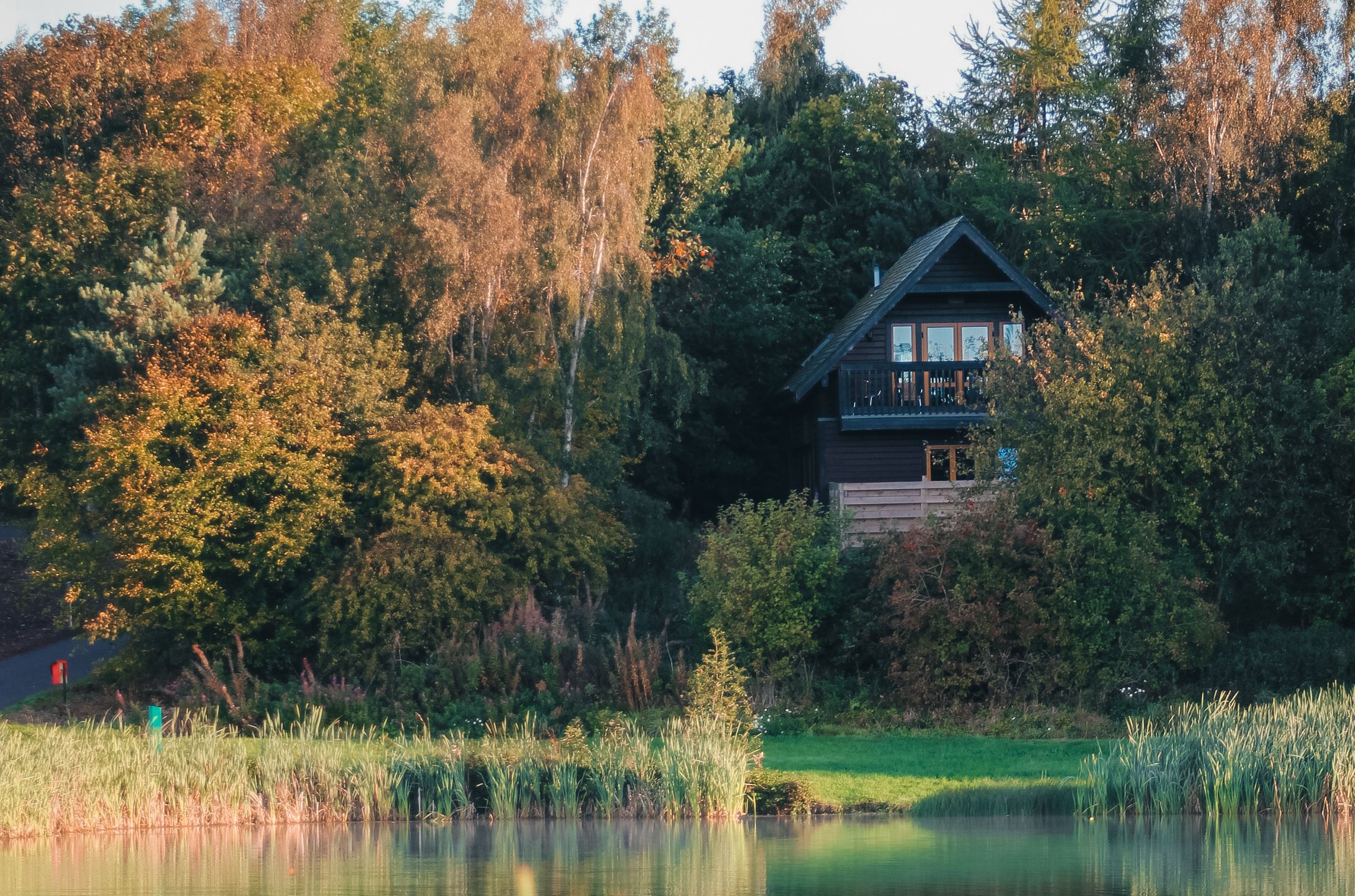 A wooden cabin surrounded by lush trees overlooking a calm lake with reeds in the foreground.