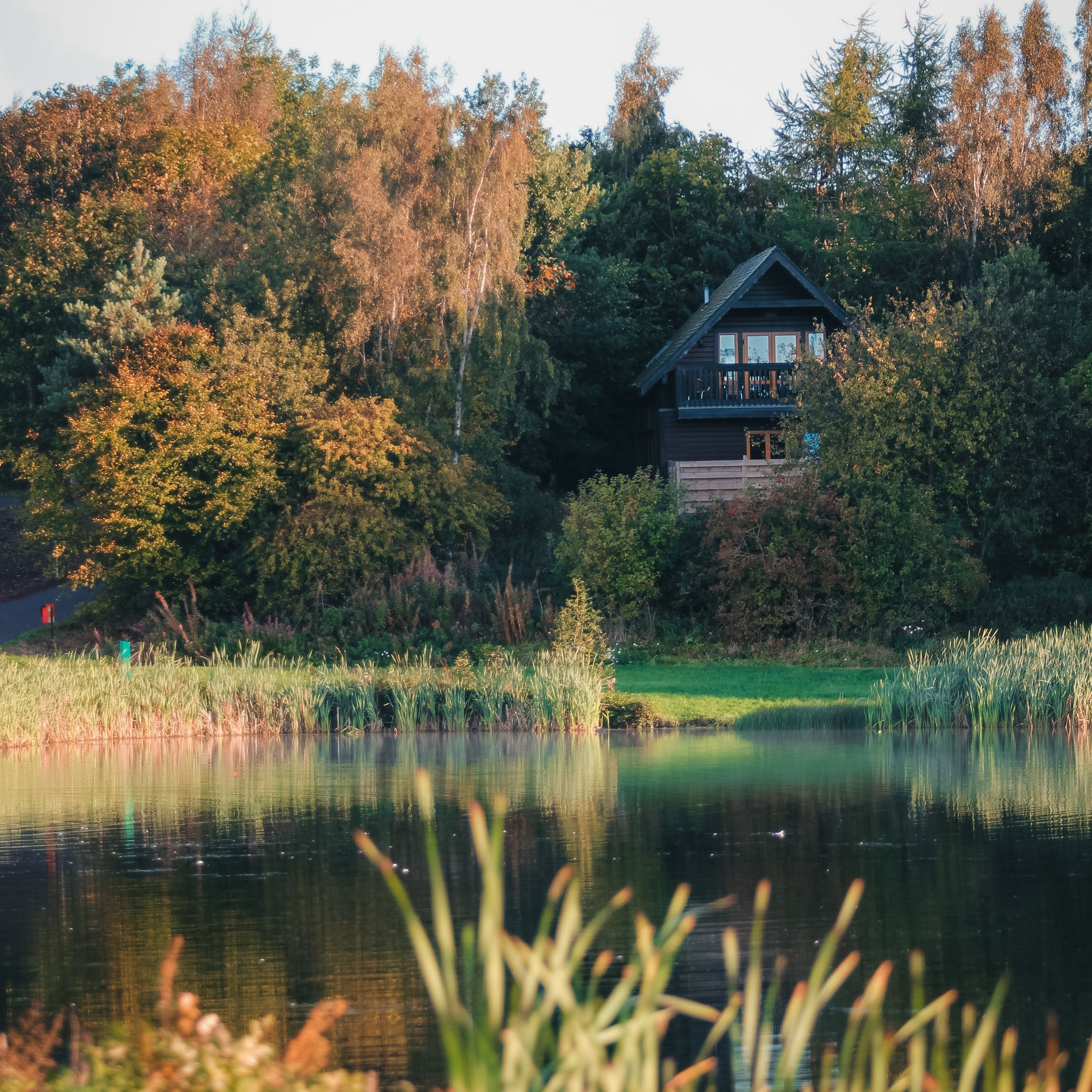 A wooden cabin surrounded by lush trees overlooking a calm lake with reeds in the foreground.