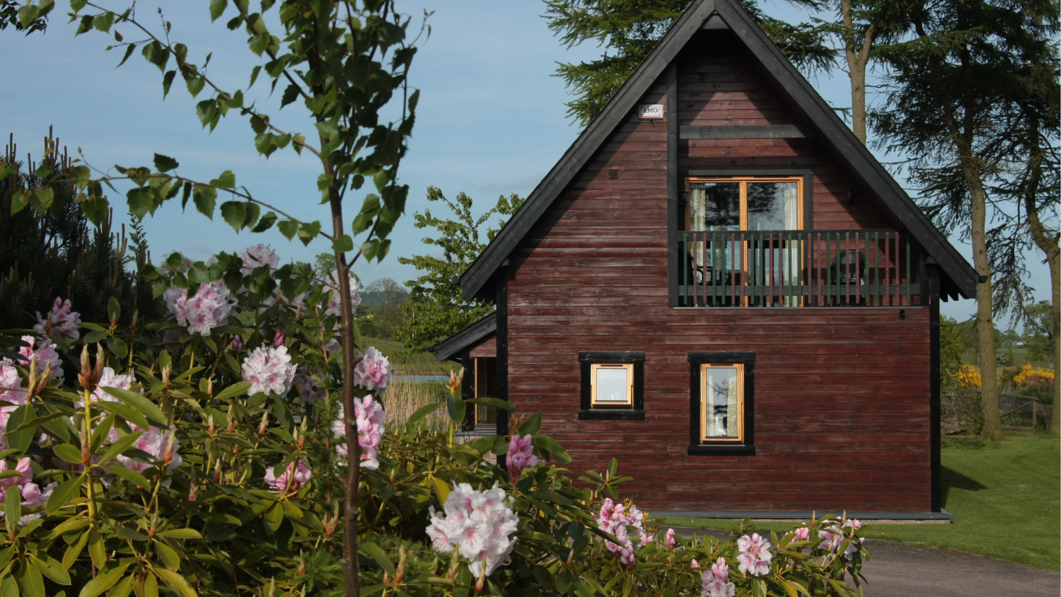 A wooden cabin with a balcony surrounded by blooming pink flowers and green trees.