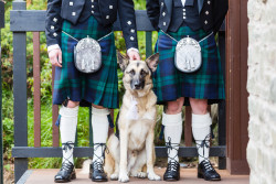 2 men in kilts with dog