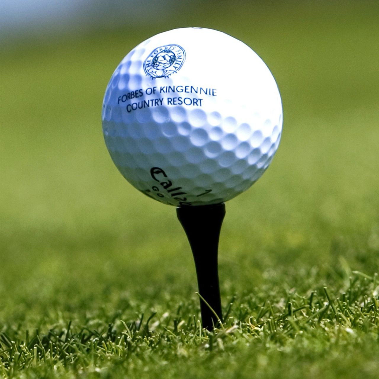 Close up of golf ball on tee