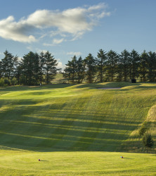 Forbes of Kingennie Golf Course