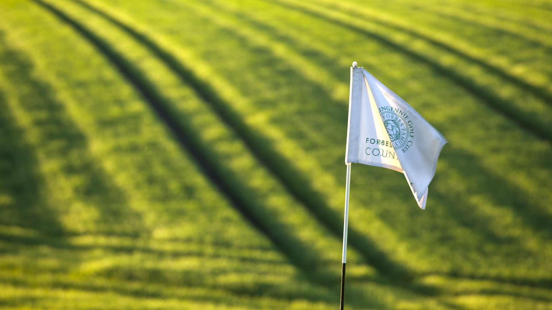 Flag on Forbes of Kingennie Golf Course