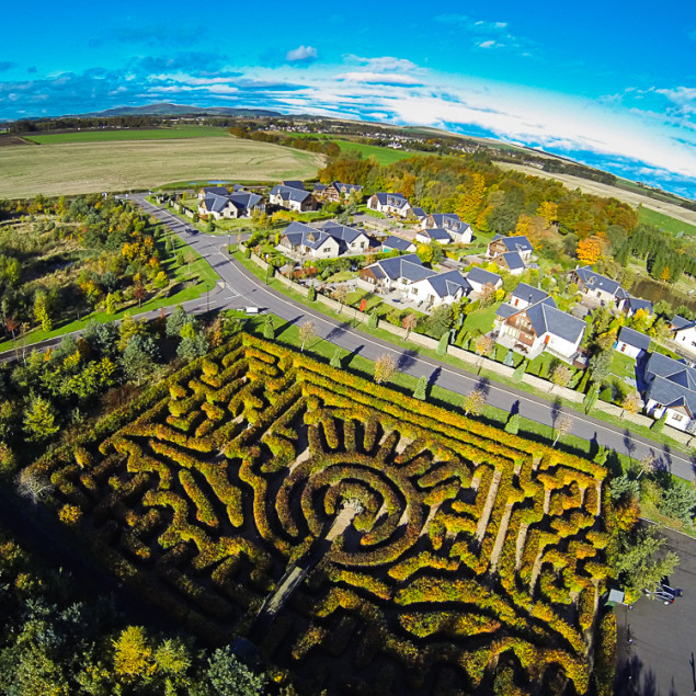 Aerial view of thistle maze