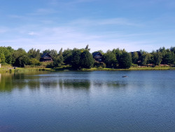 Fishing pond