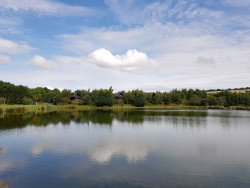 Fishing pond