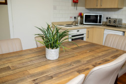 Plant on dining table in Glen Clova