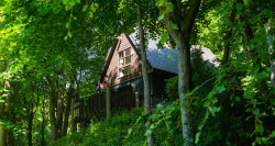 Glen Esk Lodge in trees