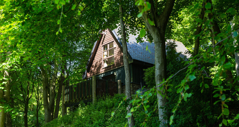 Glen Esk Lodge in trees