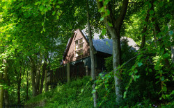Glen Esk Lodge in trees