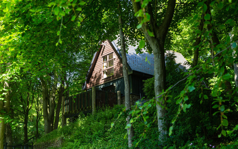 Glen Esk Lodge in trees