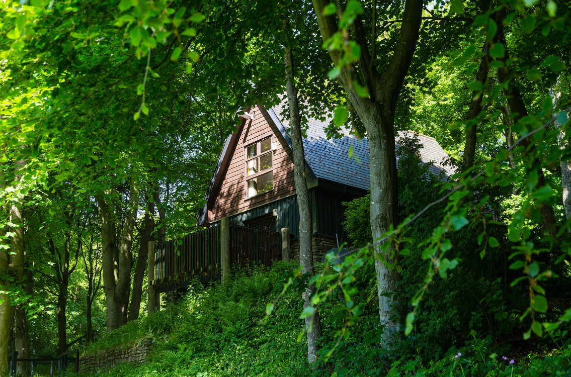 Glen Esk Lodge in trees