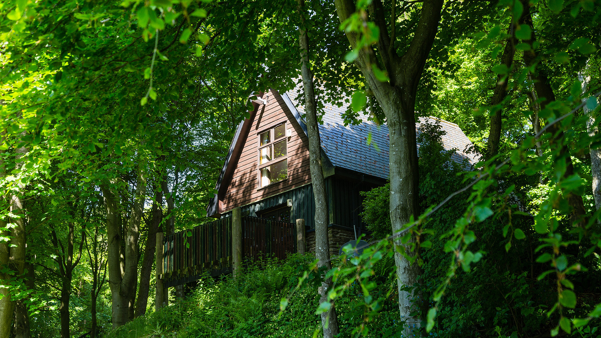 Glen Esk Lodge in trees