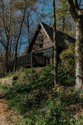 Glen Esk Lodge in trees
