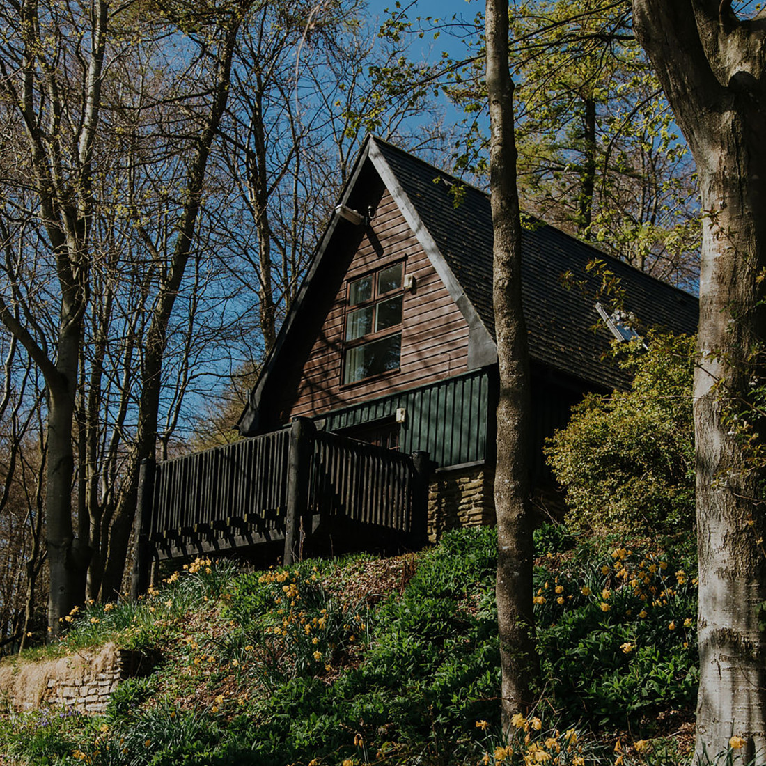 Glen Esk Lodge in trees