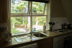 View from window in Glen Esk