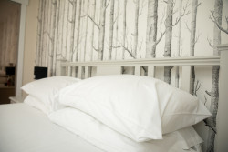 Pillows on double bed