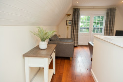 Console table with plant in living area