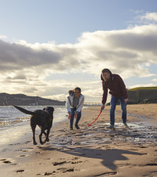Couple on beach with dog