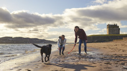 Couple on beach with dog
