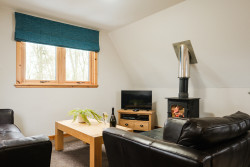 Living area with log burner
