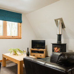 Living area with log burner