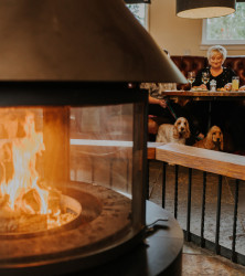 Log burner in restaurant