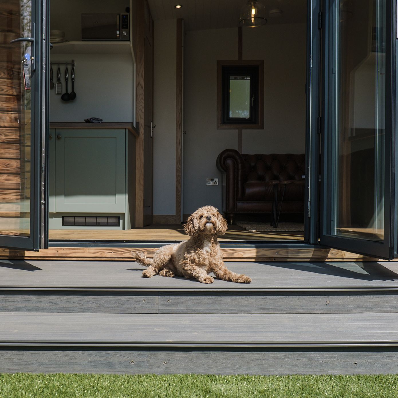Dog sat in steps outside escape pod